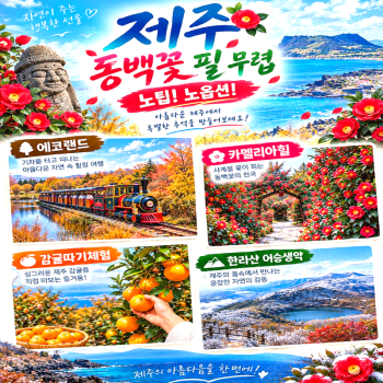 캔디투어[부산출발]26년 제주도 동백꽃필무렵 2일/3일/4일 동백꽃길투어 노팁노옵션