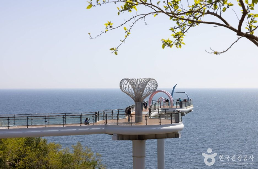 캔디여행사[부산출발]동해 추암해변+도째비골스카이밸리 논골담길 당일치기