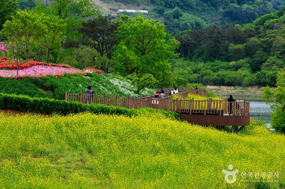 캔디여행사[부산출발]임실 옥정호출렁다리+붕어섬생태공원+치즈테마파크 당일여행