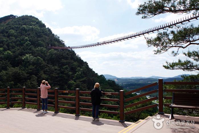 캔디여행사[부산출발]순창 강천산 단풍+채계산 출렁다리 당일패키지여행