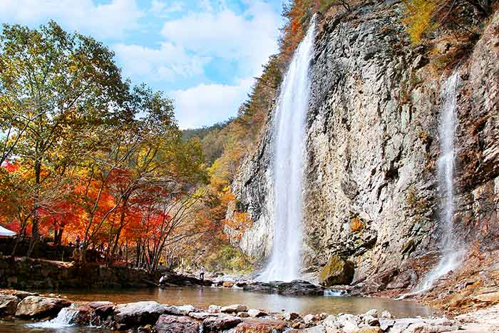 캔디여행사[부산출발]순창 강천산 단풍+채계산 출렁다리 당일패키지여행
