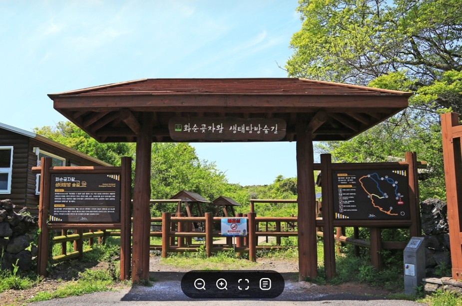캔디투어[부산출발]26년 11~12월 제주도 늦가을 동백꽃놀이 3박4일 국내여행