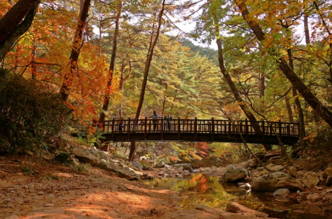 캔디여행사[부산출발]보은-청주 속리산&청남대 단풍 패키지 당일여행