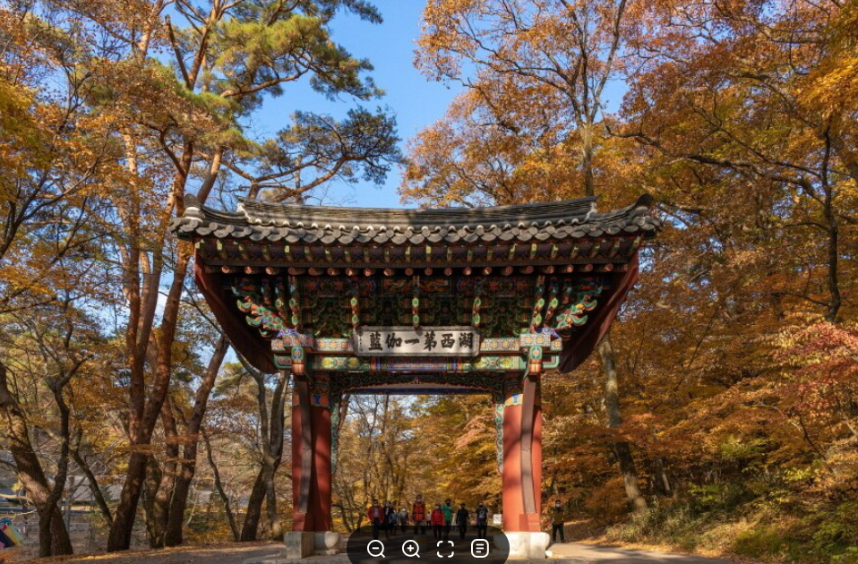 캔디여행사[부산출발]보은-청주 속리산&청남대 단풍 패키지 당일여행