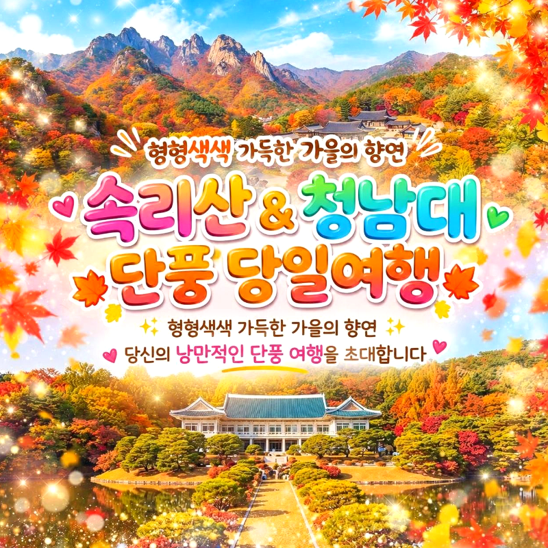 캔디여행사[부산출발]보은-청주 속리산&청남대 단풍 패키지 당일여행