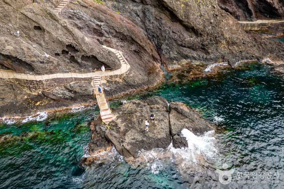 캔디투어[부산출발]울릉도 2일/3일 엘도라도호 쾌속선 유류포함 부산경남셔틀 국내여행