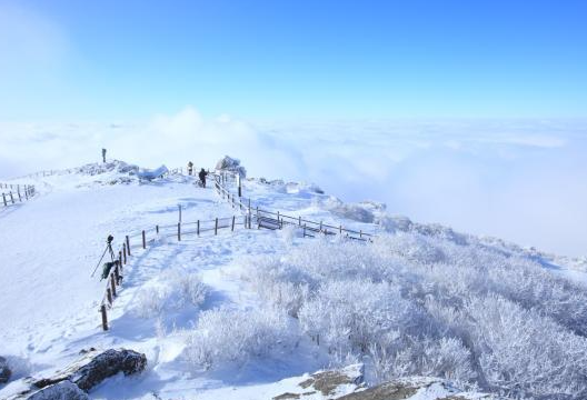캔디여행사[부산출발]무주 덕유산 곤돌라 탑승 눈꽃투어 겨울패키지 당일여행
